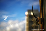 IMG_8677-77