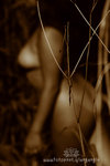 IMG_6834-34