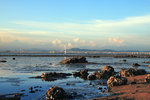IMG_5535-35