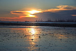IMG_5554-54
