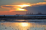 IMG_5564-64