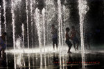 IMG_2184-84