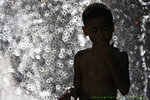 IMG_8441-41
