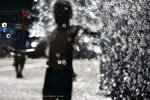 IMG_8446-46