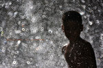 IMG_8459-59