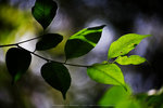 IMG_8027-2