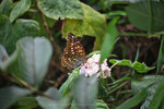 IMG_8076-2