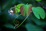 IMG_8096