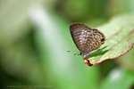 IMG_8101