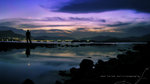 IMG_9181-81