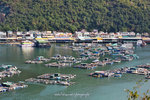 IMG_3036-36
