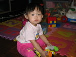Home 12 Nov 05