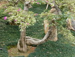 L1080512