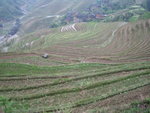 4月的梯田