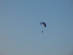 IMG_1016