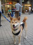 DSC00060