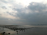 IMG_1199
