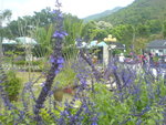 DSC00374