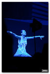 DSC03081_1R