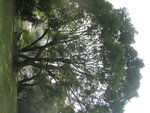 照片 003