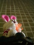 CIMG4761