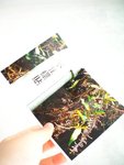 CIMG5146