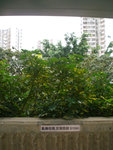 CIMG6319
