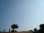 SL730828