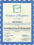 FionBeauty - ear candling n aroma face massage seminar