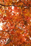 20051225_09