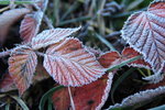 20061101_235