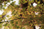20100327_016