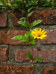 IMG_0001_1