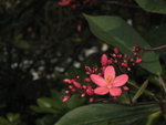 IMG_2769