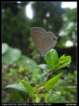 IMG_0001