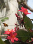 IMG_2761i