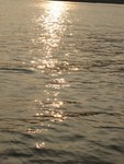 IMG_0447