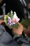 IMG_2629