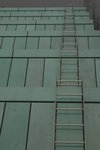 _MG_9514