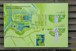 _MG_9601a