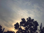 P01-24-07_17.25[1]