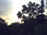 P01-24-07_17.26