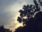 P01-24-07_17.26[1]