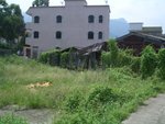 CIMG0294