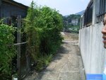 CIMG0295