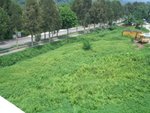 CIMG0297