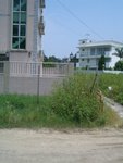 CIMG0307