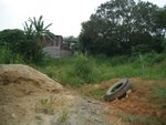 CIMG0255
