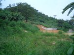 CIMG0260