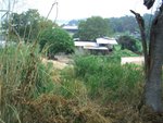 CIMG0262
